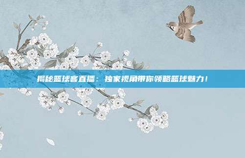 揭秘篮球客直播：独家视角带你领略篮球魅力！