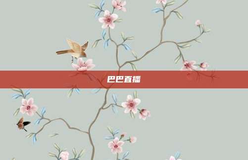 巴巴直播