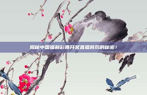 揭秘中国福利彩票开奖直播背后的秘密！