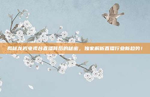 揭秘龙岩电视台直播背后的秘密,独家解析直播行业新趋势!