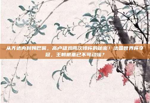 从齐达内到姆巴佩，高卢雄鸡两次捧杯的秘密！法国世界杯夺冠，王朝根基已不可动摇？