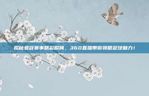 揭秘亚冠赛事精彩瞬间，360直播带你领略足球魅力！