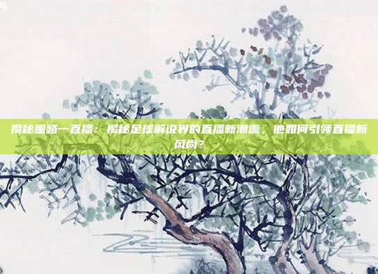 揭秘董路一直播：揭秘足球解说界的直播新潮流，他如何引领直播新风尚？