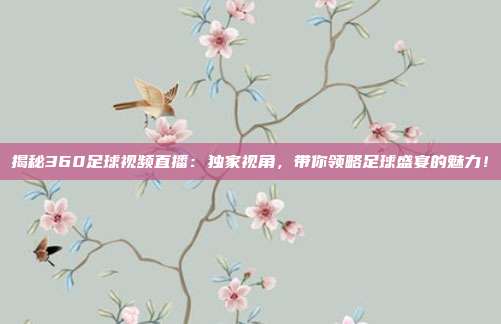 揭秘360足球视频直播:独家视角,带你领略足球盛宴的魅力!