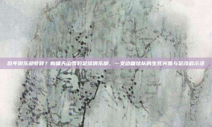 百年俱乐部梦碎？新疆天山雪豹足球俱乐部，一支边疆球队的生死突围与足改启示录
