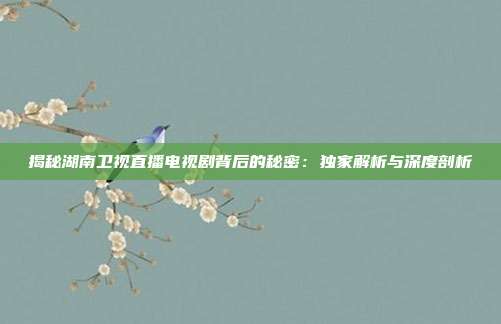 揭秘湖南卫视直播电视剧背后的秘密：独家解析与深度剖析