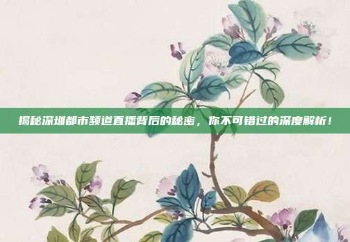 揭秘深圳都市频道直播背后的秘密,你不可错过的深度解析!