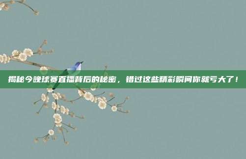 揭秘今晚球赛直播背后的秘密，错过这些精彩瞬间你就亏大了！