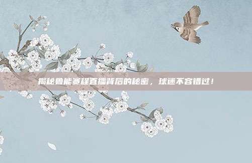 揭秘鲁能赛程直播背后的秘密,球迷不容错过!