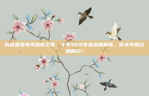 揭秘直播电视湖南卫视：十年SEO专家深度解析，你不可错过的精彩！