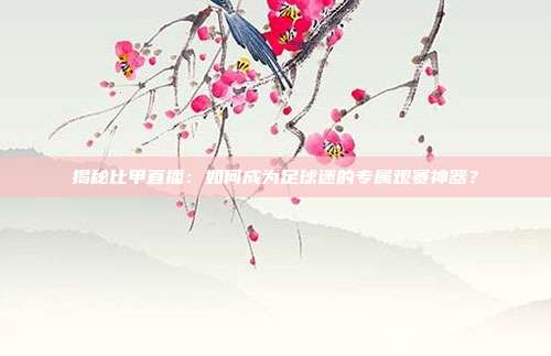 揭秘比甲直播:如何成为足球迷的专属观赛神器?