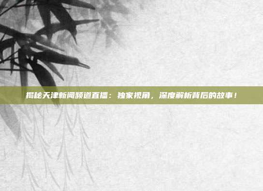 揭秘天津新闻频道直播：独家视角，深度解析背后的故事！