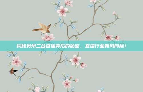 揭秘贵州二台直播背后的秘密,直播行业新风向标!