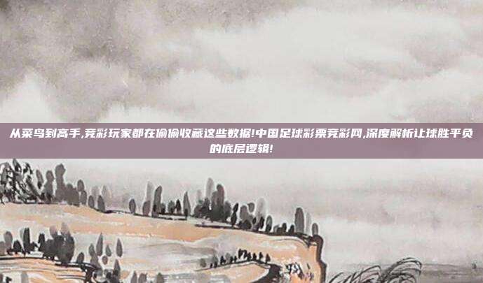 从菜鸟到高手,竞彩玩家都在偷偷收藏这些数据!中国足球彩票竞彩网,深度解析让球胜平负的底层逻辑!