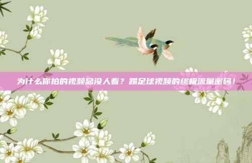 为什么你拍的视频总没人看？踢足球视频的终极流量密码！