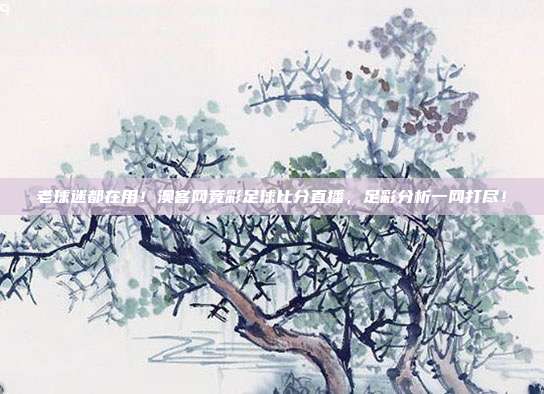 老球迷都在用！澳客网竞彩足球比分直播，足彩分析一网打尽！