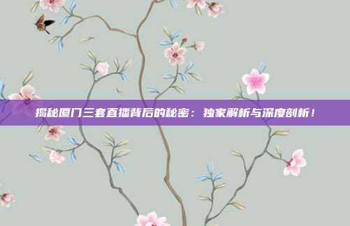 揭秘厦门三套直播背后的秘密：独家解析与深度剖析！