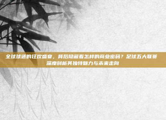 全球球迷的狂欢盛宴，背后隐藏着怎样的商业密码？足球五大联赛 深度剖析其独特魅力与未来走向