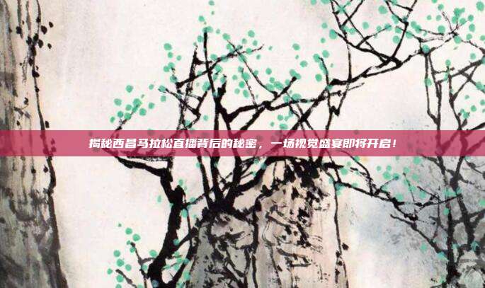 揭秘西昌马拉松直播背后的秘密,一场视觉盛宴即将开启!