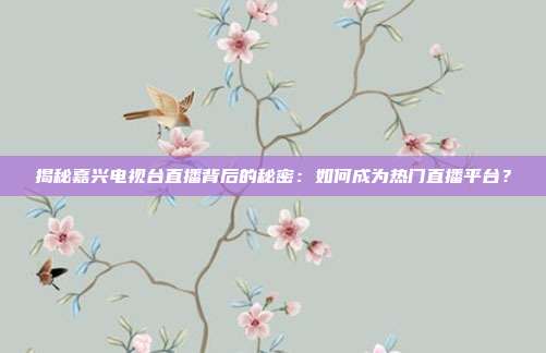 揭秘嘉兴电视台直播背后的秘密：如何成为热门直播平台？
