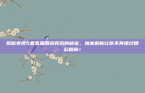 揭秘央视5套直播回放背后的秘密，独家解析让你不再错过精彩瞬间！