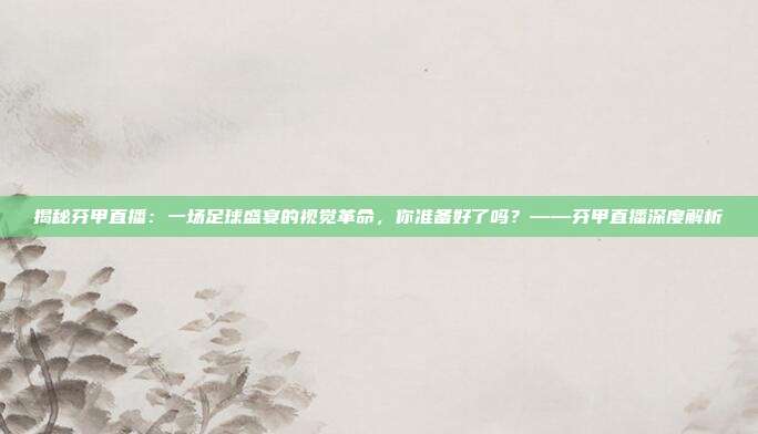 揭秘芬甲直播：一场足球盛宴的视觉革命，你准备好了吗？——芬甲直播深度解析
