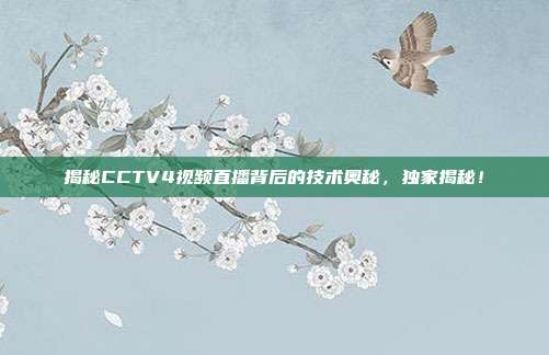 揭秘CCTV4视频直播背后的技术奥秘,独家揭秘!
