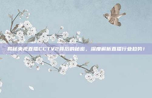揭秘央视直播CCTV2背后的秘密，深度解析直播行业趋势！