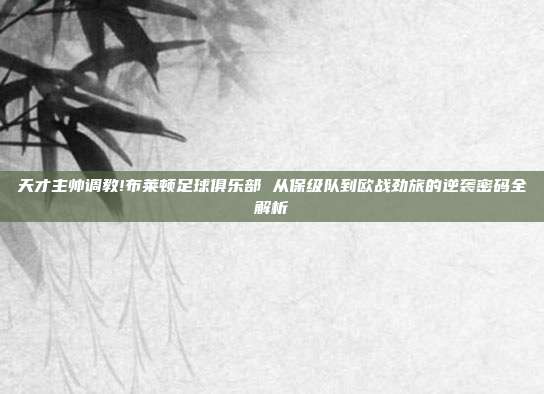 天才主帅调教!布莱顿足球俱乐部 从保级队到欧战劲旅的逆袭密码全解析
