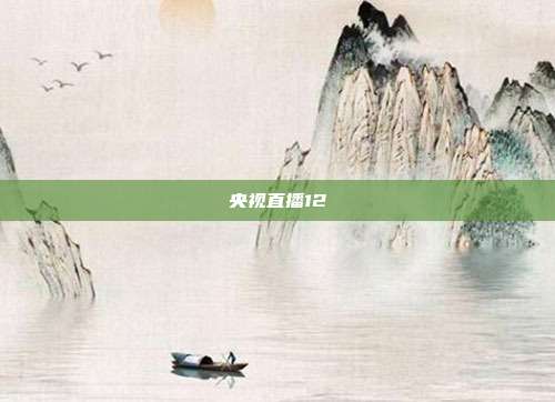 央视直播12