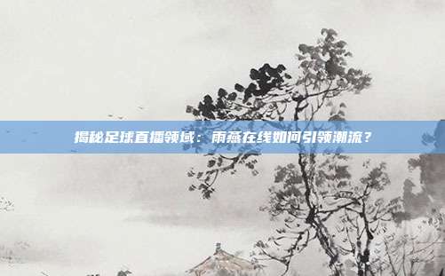 揭秘足球直播领域:雨燕在线如何引领潮流?