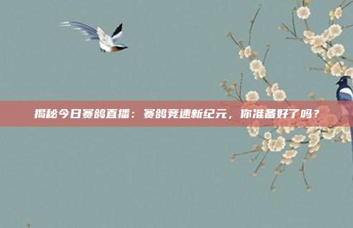 揭秘今日赛鸽直播:赛鸽竞速新纪元,你准备好了吗?