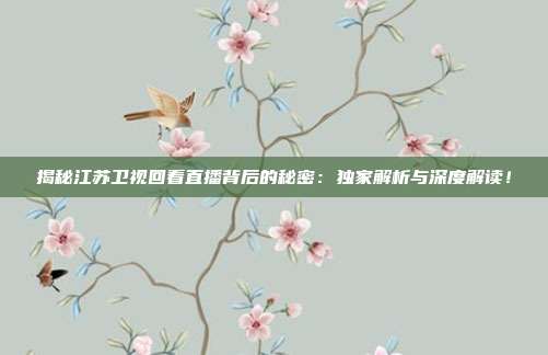 揭秘江苏卫视回看直播背后的秘密：独家解析与深度解读！