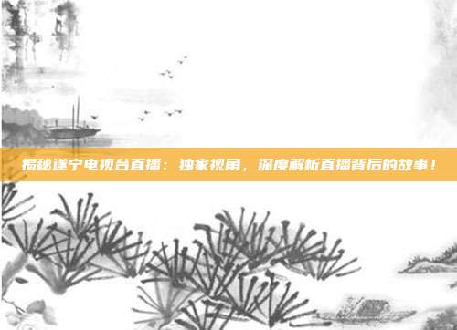 揭秘遂宁电视台直播：独家视角，深度解析直播背后的故事！