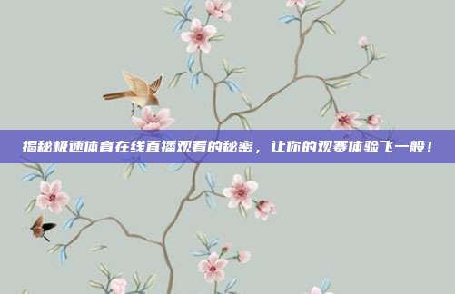 揭秘极速体育在线直播观看的秘密,让你的观赛体验飞一般!