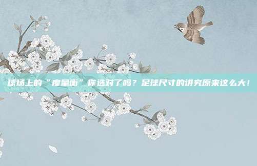 球场上的“度量衡”你选对了吗？足球尺寸的讲究原来这么大！