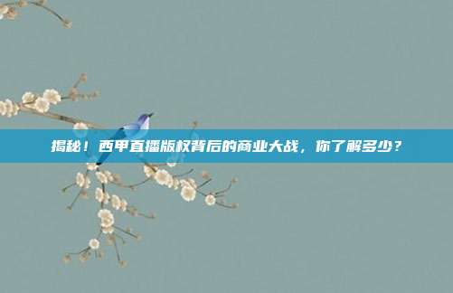 揭秘！西甲直播版权背后的商业大战，你了解多少？