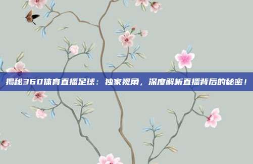 揭秘360体育直播足球:独家视角,深度解析直播背后的秘密!