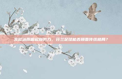 北欧冰原崛起新势力，芬兰足球能否颠覆传统格局？