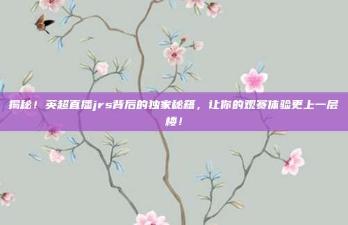揭秘！英超直播jrs背后的独家秘籍，让你的观赛体验更上一层楼！