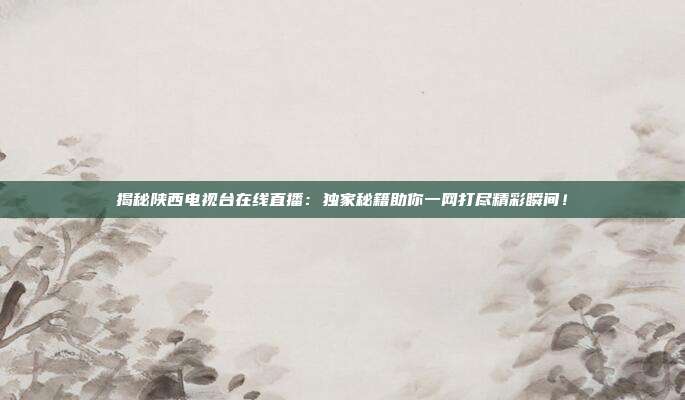 揭秘陕西电视台在线直播：独家秘籍助你一网打尽精彩瞬间！