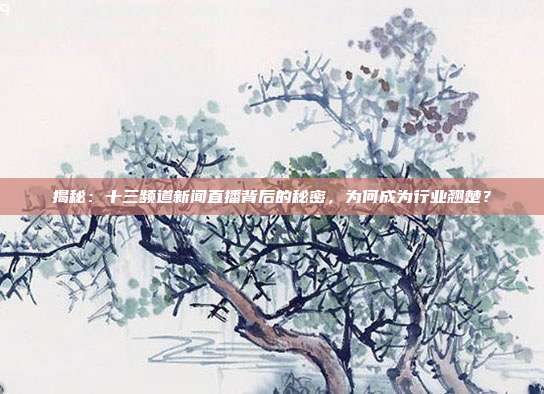 揭秘:十三频道新闻直播背后的秘密,为何成为行业翘楚?