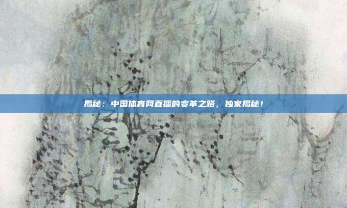 揭秘：中国体育网直播的变革之路，独家揭秘！
