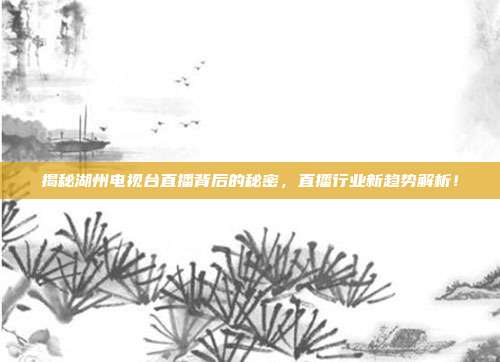 揭秘湖州电视台直播背后的秘密，直播行业新趋势解析！