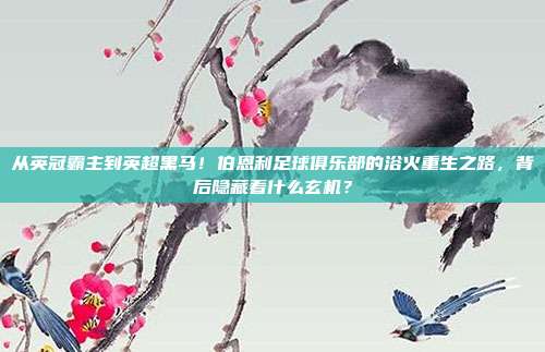从英冠霸主到英超黑马！伯恩利足球俱乐部的浴火重生之路，背后隐藏着什么玄机？