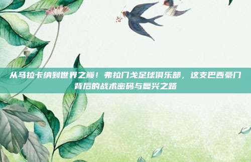 从马拉卡纳到世界之巅！弗拉门戈足球俱乐部，这支巴西豪门背后的战术密码与复兴之路