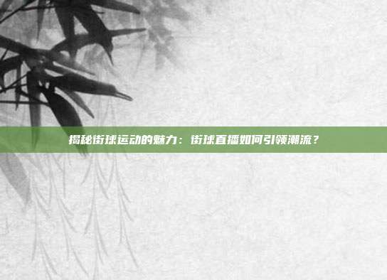 揭秘街球运动的魅力：街球直播如何引领潮流？