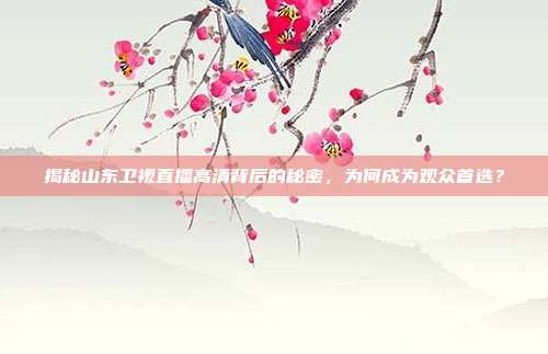 揭秘山东卫视直播高清背后的秘密，为何成为观众首选？