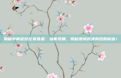 揭秘中韩足球比赛直播：独家视角，揭秘激情对决背后的秘密！