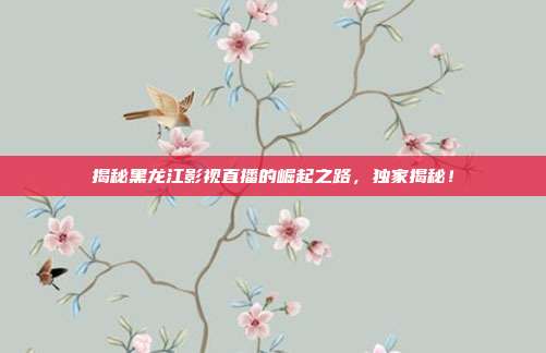 揭秘黑龙江影视直播的崛起之路,独家揭秘!